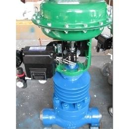 Single seat control valve