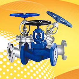 Globe Valve